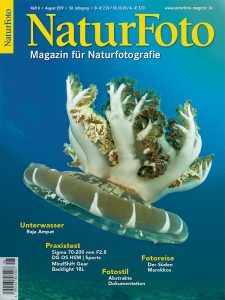 https://www.naturfoto-magazin.de/magazin/zeitschriften/2019/naturfoto-08-2019.html